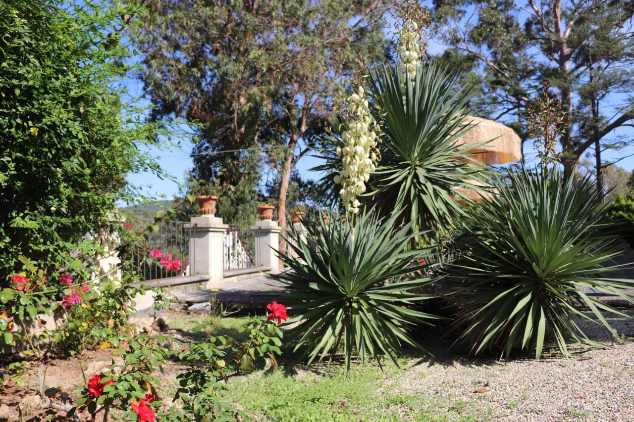Villa Teresa Porto Azzurro Zewnętrze zdjęcie