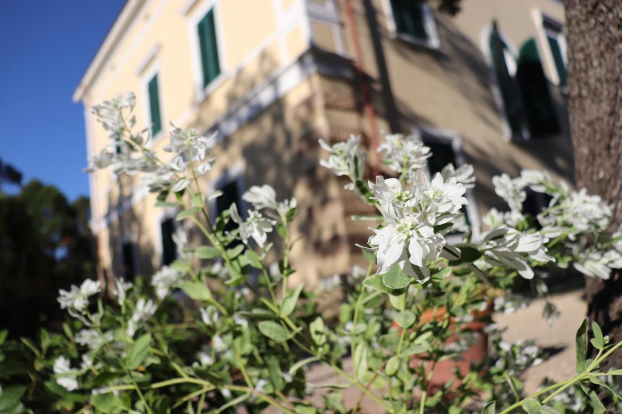 Villa Teresa Porto Azzurro Zewnętrze zdjęcie
