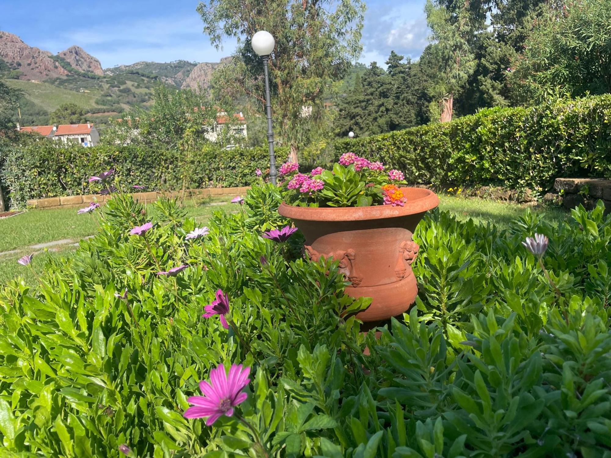 Villa Teresa Porto Azzurro Zewnętrze zdjęcie